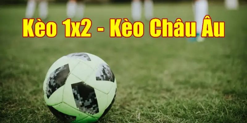 Cách đọc kèo châu Âu chuẩn xác